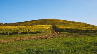 Beaujolais wine tour in a day from Lyon to the ten crus