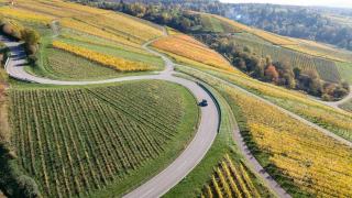 Cycling Wine Tours: Explore French Vineyards by Bike