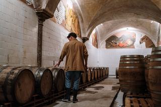 Guided wine tour France or driving yourself