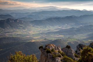 Languedoc Vineyards: Wine Tourism in France's Largest Région